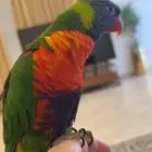 لوري