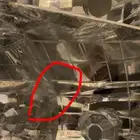 شمعات فورد وشبك اصلي