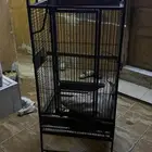 قفص ببغاء كبير للبيع