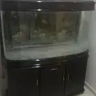 كنب ابيض للبيع