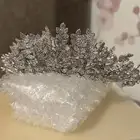 هيدبيس تاج عروس