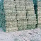 يرسيم صافي لبانه قلاص