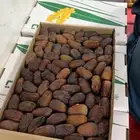 متوفر ونانه و نبتته علي