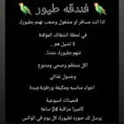 فندقه طيور