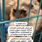 عروض لاتفوت لا اصحاب القطط