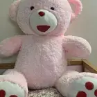 دب كبير