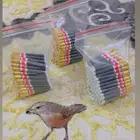 حلاو الدخل أمريكي شغل صح على ريال