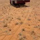 دنه ونش ل نقل الابل والمكاين