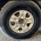 جنوط جيب مفخره للبيع   الموقع طبرجل