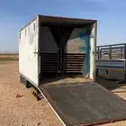 دينا