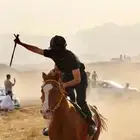 للبيع حصان شعبي سبوق