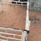 شبك هنقلين من الحديد القديم