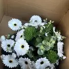 مندوب توصيل ورد هدايا كيك الخ