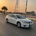 التيماء