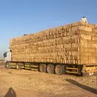 تبن قمح شد شركة الطول متر
