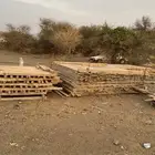 موسسه لتقبيل