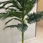 شجرة
