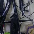 رامبو مع كل احتياجاته