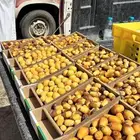 رطب للبيع شي طيب وفاخر