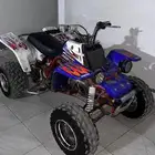 بانشي 5 مقلوب 11