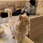 بسه للي يبيها يكلمني