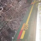 بذاره جندير 450