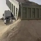 رمل ابيض لياسه