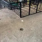 هنقلين شبك بضاعه خضار غنم