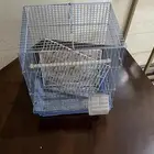 قفص