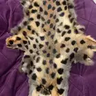 وادي الدواسر
