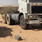 راس سقس فلفو الزاهد شاص طويل متحركات شرط علومه طيبه كلها