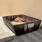 طربال الاختيار