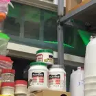سيريلاك طيور غر ابر طيور صغار