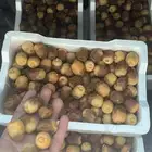 تمر المدينه حق اليوم