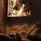 مشروع تأجير مخيمات احتاج شريك