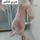 ملحمه حاشي السويرقيه جده حي الفروسيه