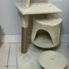 بيت للقطط