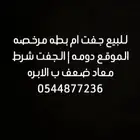 رحلات بريه