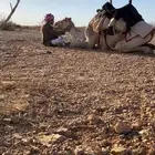 يوجد تطبيع قعدان وبكار طبع شرط الرقم