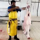 ذبايح
