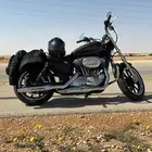 هارلي سبوستر 883 2020