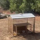 عشه صندقه عشش صنادق