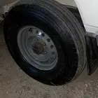 جنوط