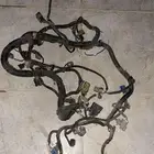 ضفيره اكسبدشن