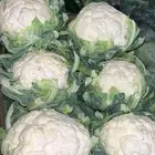 توريد خضار القصيم طازجه يومي ب اقل الأسعار