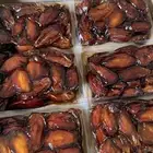 صفري ترج بيشة حبه كبير للبيع