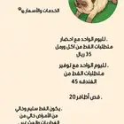 فندقه قطط