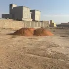 ضرماء