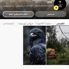 سناب شات للبيع