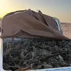 صندوق مسحه طيب